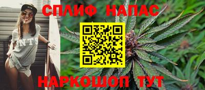 прущие грибы Беслан