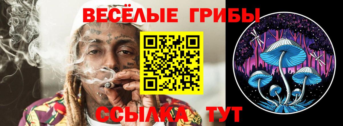 Псилоцибиновые грибы Psilocybe Прокопьевск