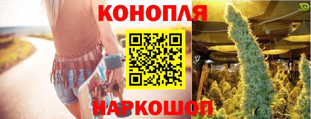 Бошки Шишки план Прокопьевск